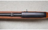 Ruger ~ 10/22 Carbine ~ .22 LR - 10 of 12