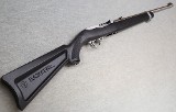 Ruger ~ 10/22 Paddle Stock ~ .22 LR