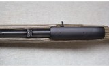 Ruger ~ 10/22 Carbine ~ .22 LR - 10 of 12