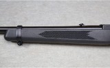 Ruger ~ 10/22 Paddle Stock ~ .22 LR - 7 of 12