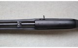 Ruger ~ 10/22 Paddle Stock ~ .22 LR - 10 of 12