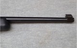 Ruger ~ 10/22 Paddle Stock ~ .22 LR - 5 of 12