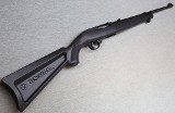 Ruger ~ 10/22 Paddle Stock ~ .22 LR
