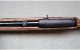 Ruger ~ 10/22 Carbine ~ .22 LR - 10 of 12