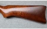 Ruger ~ 10/22 Carbine ~ .22 LR - 11 of 12