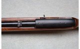 Ruger ~ 10/22 Carbine ~ .22 LR - 10 of 12