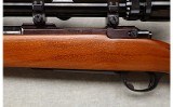 Ruger ~ M77 Varmint ~ .243 WIN - 9 of 12