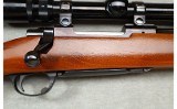 Ruger ~ M77 Varmint ~ .243 WIN - 3 of 12