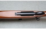 Ruger ~ M77 Varmint ~ .243 WIN - 8 of 12