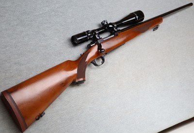 Ruger ~ M77 Varmint ~ .243 WIN
