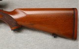 Ruger ~ M77 Varmint ~ .243 WIN - 11 of 12
