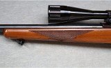 Ruger ~ M77 Varmint ~ .243 WIN - 7 of 12