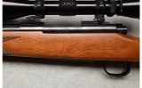 Winchester ~ Model 70 Sporter ~ .243 WIN - 9 of 12