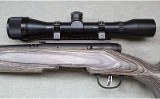 Savage ~ B-Mag ~ .17 WSM - 10 of 12