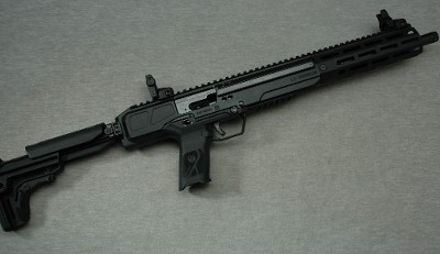 Ruger ~ LC Carbine ~ 10mm