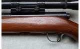 Winchester ~ Model 43 ~ .22 Hornet - 9 of 12