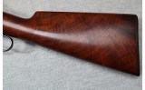 Winchester ~ Model 1886 ~ .33 WCF - 11 of 12