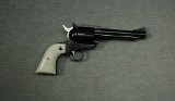 Ruger ~ New Model Blackhawk ~ .45 Colt