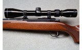 Ruger ~ 77/22 ~ .22 LR - 10 of 12