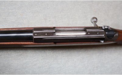 Tikka ~ M595 ~ .243 WIN - Image 10 of 12