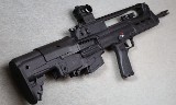 Springfield Armory ~ Hellion ~ 5.56 NATO