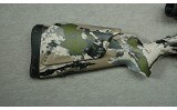 Browning ~ X-Bolt ~ .300 Winchester Magnum - 2 of 10