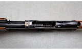 Remington ~ Model Six ~ 6mm REM - 8 of 12