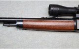 Winchester ~ Model 63 ~ .22 LR - 7 of 12