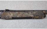 Browning ~ Gold 10 ~ 10 Gauge - 4 of 12