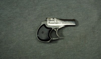 High Standard ~ Derringer ~ .22 WMR