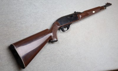 RemingtonNylon 66.22 LR