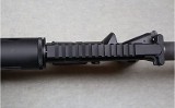 Bushmaster ~ XM15-E2S ~ .450 Bushmaster - 10 of 12
