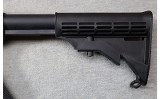 Smith & Wesson ~ M&P 15-22 ~ .22 LR - 9 of 10