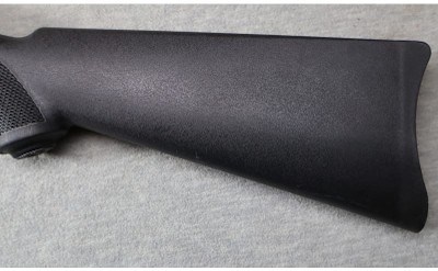 Ruger ~ 10/22 LaserMax ~ .22 LR - Image 11 of 12