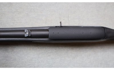 Ruger ~ 10/22 LaserMax ~ .22 LR - Image 10 of 12