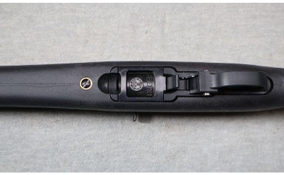 Ruger ~ 10/22 LaserMax ~ .22 LR - Image 8 of 12