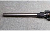 Spikes Tactical ~ ST15 Custom ~ .204 Ruger - 5 of 9