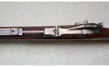 Springfield Armory ~ U.S. Model 1884 ~ .45-70 GOVT - 8 of 10