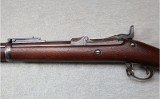 Springfield Armory ~ U.S. Model 1884 ~ .45-70 GOVT - 7 of 10