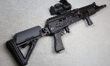 Palmetto State Armory ~ AK-102 ~ 5.56x45 - 1 of 8