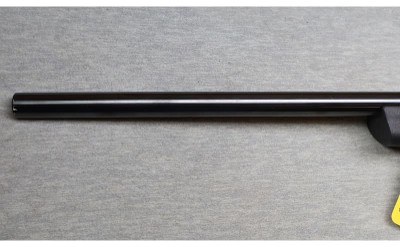 Marlin ~ Model 917 VRX-17 ~ .17 HMR - Image 6 of 12