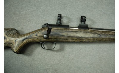 Kimber ~ .17 ~ .17 Mach 2 - Image 3 of 10