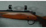 Remington ~ 700 CDL ~ .35 Whelen - 8 of 10