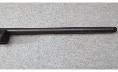 Remington ~ Model 700 SPS ~ .243 WIN - Image 5 of 12