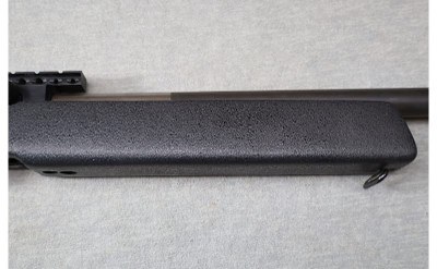 Magnum Research ~ MLR-1722M ~ .22 WMR - Image 4 of 12