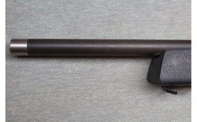 Magnum Research ~ MLR-1722M ~ .22 WMR - Image 6 of 12
