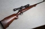 Winchester ~ Model 70 ~ .264 WIN MAG