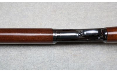 Winchester ~ Model 63 ~ .22 LR - Image 8 of 12