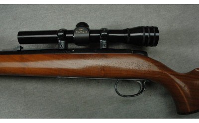Remington ~ 591M ~ 5mm Remington Rimfire Magnum - Image 8 of 10