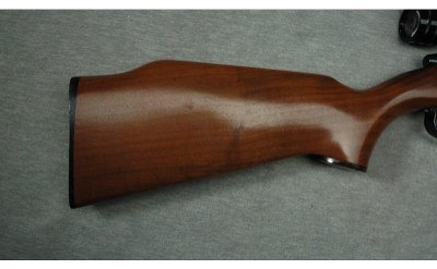 Remington ~ 591M ~ 5mm Remington Rimfire Magnum - Image 2 of 10